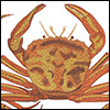 Embroidery digitizing: Crab | High-end cushion